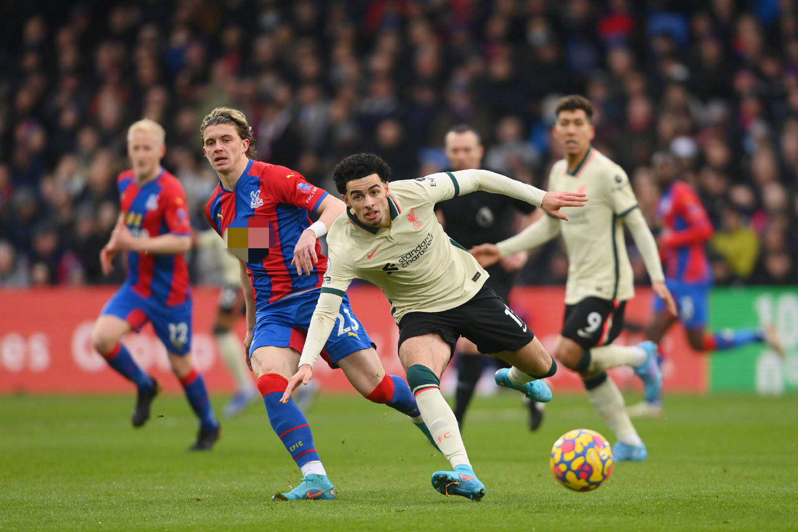 露头角的关 露头角的关